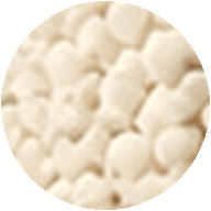 Vitamin B1 (Thiamine)