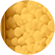 Vitamin B2 (Riboflavin)