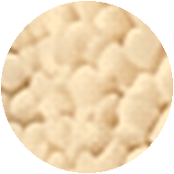 Vitamin B3 (Niacin)