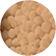 Iron